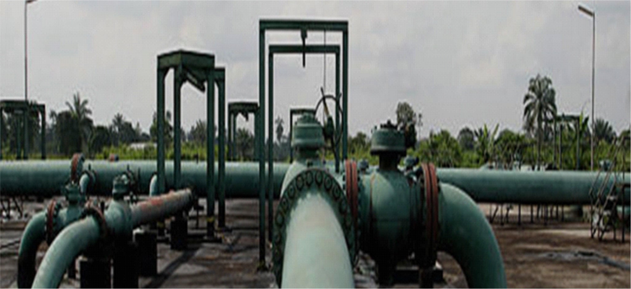 Environmental Management